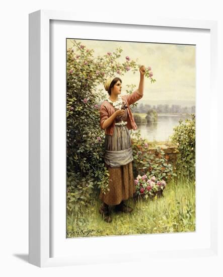 Cutting Roses Along the Seine-Daniel Ridgway Knight-Framed Giclee Print