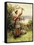 Cutting Roses Along the Seine-Daniel Ridgway Knight-Framed Stretched Canvas