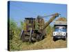 Cutting Sugar by Cuban Made Machine, on a Plantation, South Coast Plain of Havana Province, Cuba-Waltham Tony-Stretched Canvas