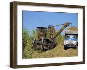 Cutting Sugar by Cuban Made Machine, on a Plantation, South Coast Plain of Havana Province, Cuba-Waltham Tony-Framed Photographic Print