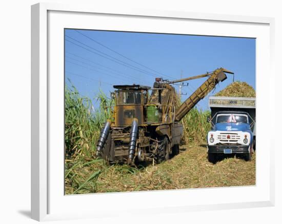 Cutting Sugar by Cuban Made Machine, on a Plantation, South Coast Plain of Havana Province, Cuba-Waltham Tony-Framed Photographic Print