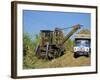 Cutting Sugar by Cuban Made Machine, on a Plantation, South Coast Plain of Havana Province, Cuba-Waltham Tony-Framed Photographic Print