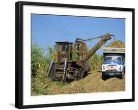 Cutting Sugar by Cuban Made Machine, on a Plantation, South Coast Plain of Havana Province, Cuba-Waltham Tony-Framed Photographic Print