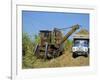 Cutting Sugar by Cuban Made Machine, on a Plantation, South Coast Plain of Havana Province, Cuba-Waltham Tony-Framed Photographic Print