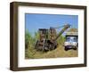 Cutting Sugar by Cuban Made Machine, on a Plantation, South Coast Plain of Havana Province, Cuba-Waltham Tony-Framed Photographic Print