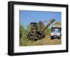 Cutting Sugar by Cuban Made Machine, on a Plantation, South Coast Plain of Havana Province, Cuba-Waltham Tony-Framed Photographic Print