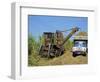 Cutting Sugar by Cuban Made Machine, on a Plantation, South Coast Plain of Havana Province, Cuba-Waltham Tony-Framed Photographic Print