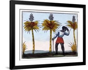 Cutting Sugar Cane, 1826-Amelia Alderson Opie-Framed Giclee Print