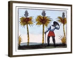 Cutting Sugar Cane, 1826-Amelia Alderson Opie-Framed Giclee Print