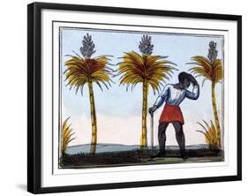 Cutting Sugar Cane, 1826-Amelia Alderson Opie-Framed Giclee Print