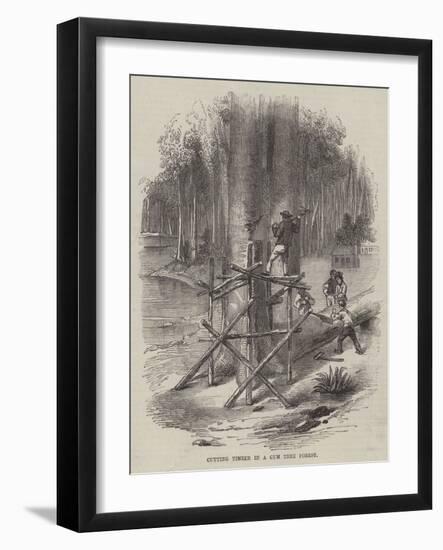 Cutting Timber in a Gum Tree Forest-null-Framed Giclee Print