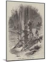 Cutting Timber in a Gum Tree Forest-null-Mounted Giclee Print