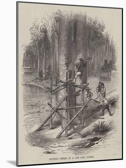 Cutting Timber in a Gum Tree Forest-null-Mounted Giclee Print