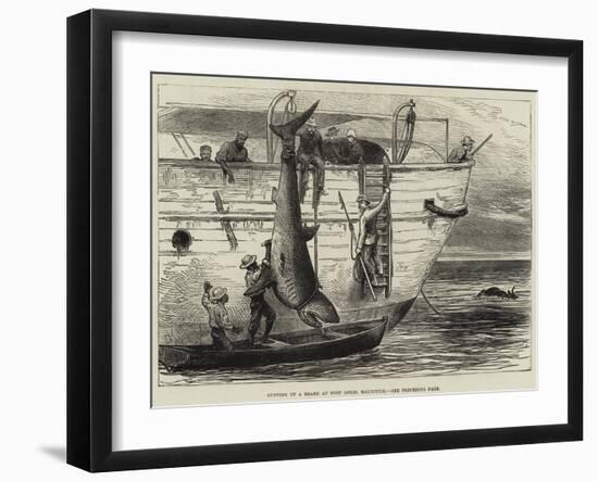 Cutting Up a Shark at Port Louis, Mauritius-null-Framed Giclee Print