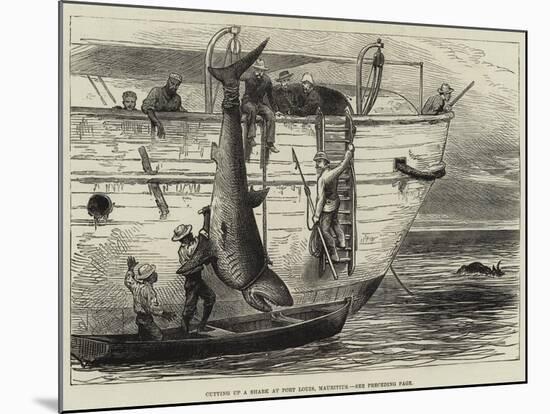 Cutting Up a Shark at Port Louis, Mauritius-null-Mounted Giclee Print