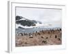 Cuverville Island, Antarctic Peninsula, Antarctica, Polar Regions-Robert Harding-Framed Photographic Print