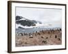 Cuverville Island, Antarctic Peninsula, Antarctica, Polar Regions-Robert Harding-Framed Photographic Print