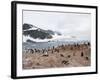 Cuverville Island, Antarctic Peninsula, Antarctica, Polar Regions-Robert Harding-Framed Photographic Print