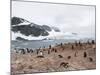 Cuverville Island, Antarctic Peninsula, Antarctica, Polar Regions-Robert Harding-Mounted Photographic Print