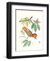 Cuvier Bird & Habitat I-Georges Cuvier-Framed Art Print