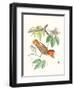 Cuvier Bird & Habitat I-Georges Cuvier-Framed Art Print