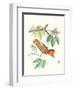 Cuvier Bird & Habitat I-Georges Cuvier-Framed Art Print