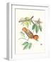 Cuvier Bird & Habitat I-Georges Cuvier-Framed Art Print