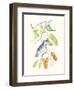 Cuvier Bird & Habitat II-Georges Cuvier-Framed Art Print