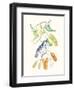 Cuvier Bird & Habitat II-Georges Cuvier-Framed Art Print