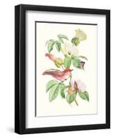 Cuvier Bird & Habitat III-Georges Cuvier-Framed Art Print