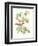 Cuvier Bird & Habitat III-Georges Cuvier-Framed Art Print