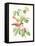 Cuvier Bird & Habitat III-Georges Cuvier-Framed Stretched Canvas