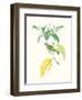 Cuvier Bird & Habitat IV-Georges Cuvier-Framed Art Print