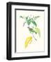 Cuvier Bird & Habitat IV-Georges Cuvier-Framed Art Print