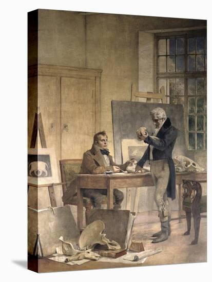 Cuvier Gathers Documents for His Work on the Fossil Bones-Theobald Chartran-Stretched Canvas