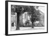 Cuvier's Home-null-Framed Photographic Print