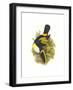 Cuvier's Toucan-John Gould-Framed Art Print