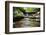 Cuyahoga Valley National Park-zrfphoto-Framed Photographic Print