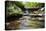 Cuyahoga Valley National Park-zrfphoto-Stretched Canvas
