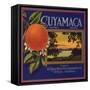 Cuyamaca Brand - El Cajon, California - Citrus Crate Label-Lantern Press-Framed Stretched Canvas