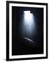 Gramercy Black