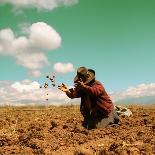 Potato Harvest In The Andes Of Peru-cwwc-Framed Art Print