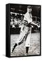 Cy Young (1867-1955)-null-Framed Stretched Canvas