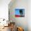 Cyan and Red-Paul Bailey-Stretched Canvas displayed on a wall