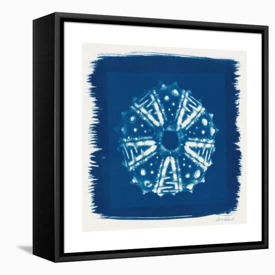 Cyan Blue Urchin-Christine Caldwell-Framed Stretched Canvas