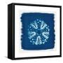 Cyan Blue Urchin-Christine Caldwell-Framed Stretched Canvas