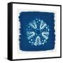 Cyan Blue Urchin-Christine Caldwell-Framed Stretched Canvas