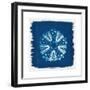 Cyan Blue Urchin-Christine Caldwell-Framed Premium Giclee Print