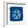 Cyan Blue Urchin-Christine Caldwell-Framed Premium Giclee Print