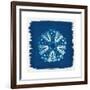 Cyan Blue Urchin-Christine Caldwell-Framed Premium Giclee Print